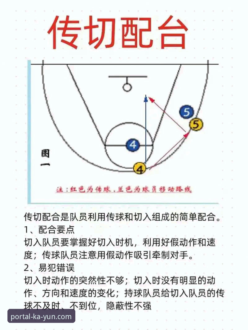 广东宏远双塔战术操作教程：萨林杰拉科组合如何打爆广州队